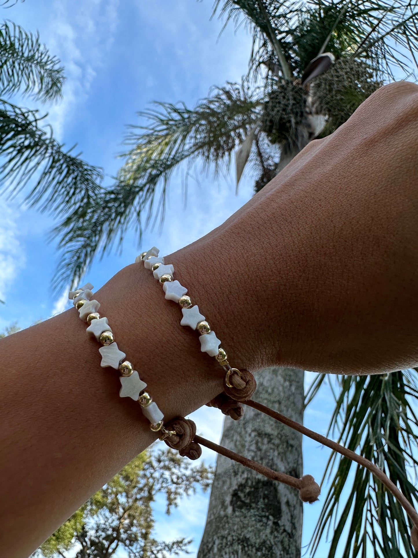 Natural Shell Star